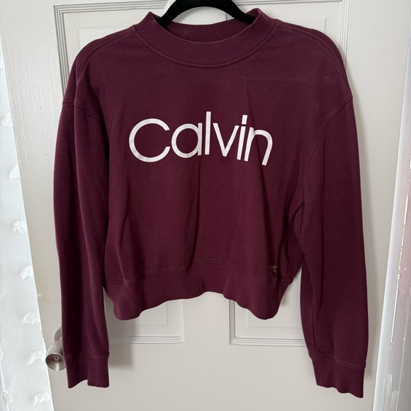 Calvin Klein Plum Performance Sweatshirt - Picture 1 of 4